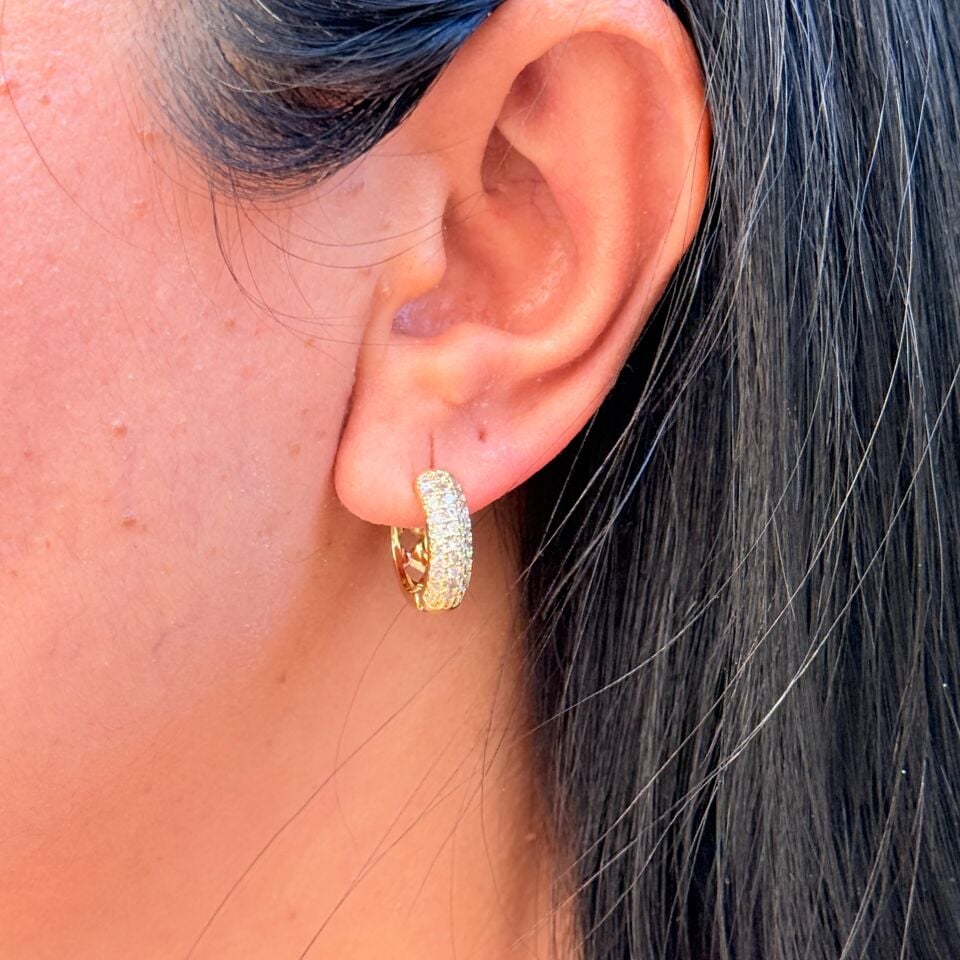 Halka Zirkon Taşlı Paslanmaz Çelik Küpe Gold